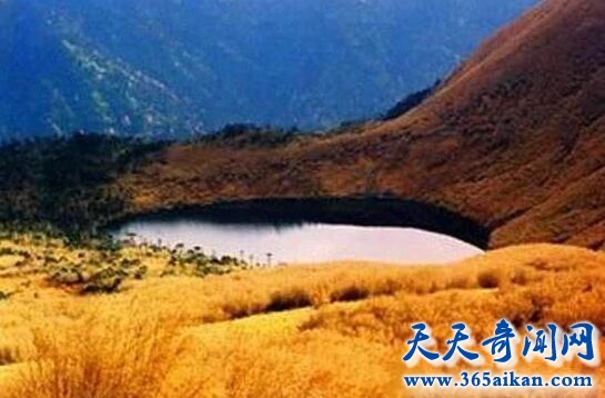 云南迷人湖.jpg