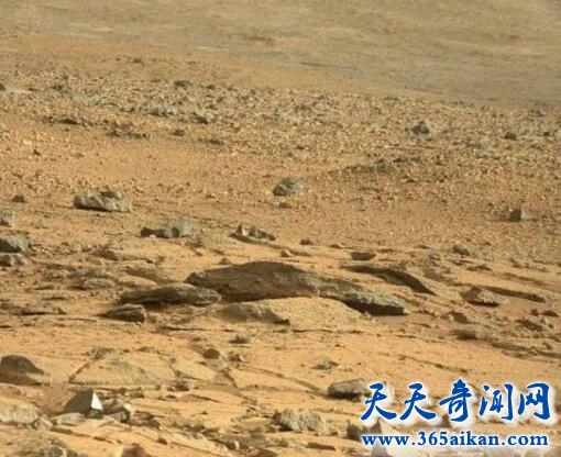 日本UFO迷在好奇号拍照中发现“火星蜥蜴”