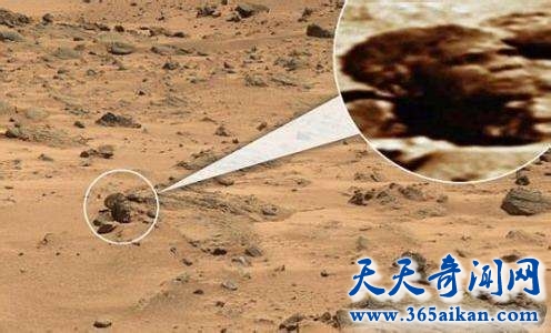 日本UFO迷在好奇号拍照中发现“火星蜥蜴”