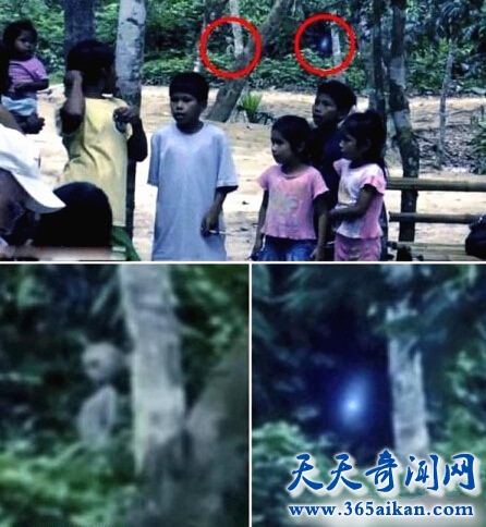 揭秘巴西亚马逊外星人事件 外星人来地球的证据曝光