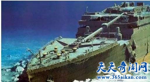 timg (22)_副本.jpg
