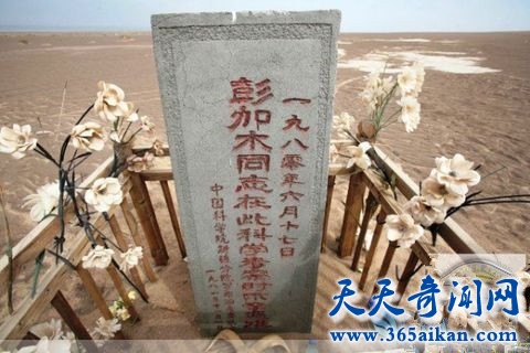 timg (2)_副本.jpg