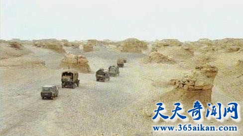 timg (1)_副本.jpg