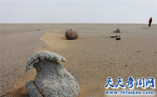 timg (3)_副本.jpg