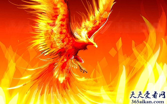 中国十大神兽是那些神兽？中国十大神兽生平介绍