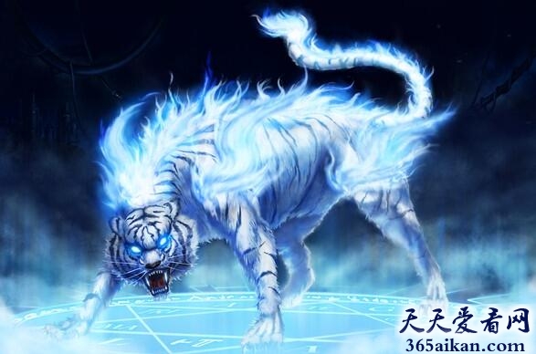 中国上古四象神兽是那些？中国上古四象神兽介绍