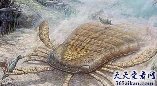 地球上史前十大庞然大物有哪些？史前最恐惧的十大动物