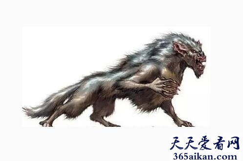 犬魔1.jpg