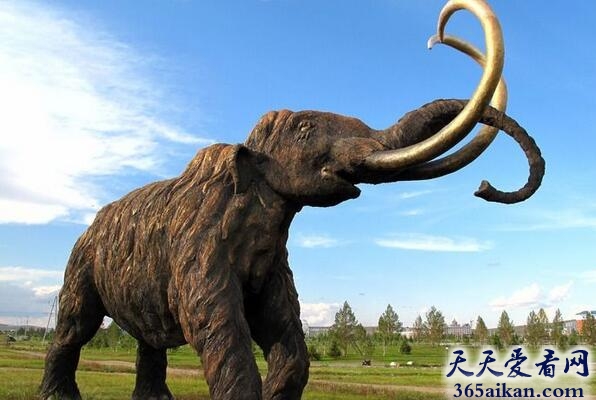 盘点十大史前长相诡异的动物有哪些？怪兽出笼，请保护好小心脏