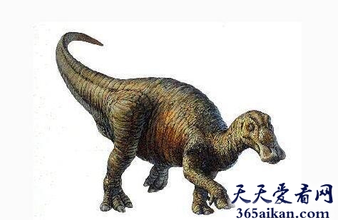 鸭嘴龙1.jpg