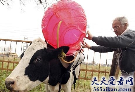 揭秘全球气候变暖的罪魁祸首是谁？