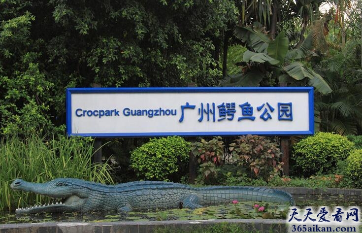 广州鳄鱼公园.jpg