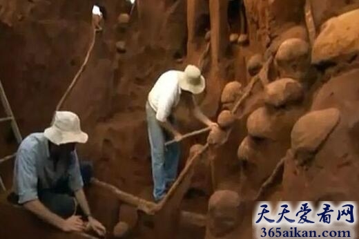 世界上最大的蚂蚁王国，巴西发现巨大地下蚂蚁王国 