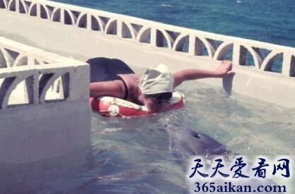 海豚爱上美女训练员被拆散后自杀