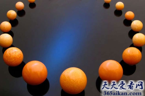 世界上最幸运的老板娘，台一餐厅椰子螺吐出10万元美乐珠 