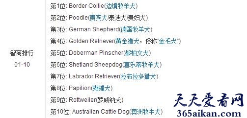 狗.jpg