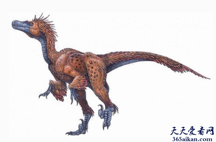 恐爪龙1.jpg