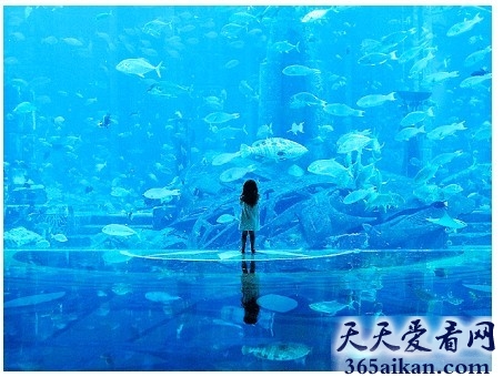 盘点世界上最奇怪的二十种吉尼斯纪录