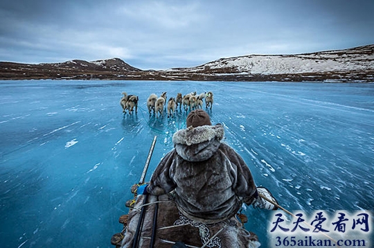 世界上最冷的十个地方是哪里？个个地方都能泼水成冰