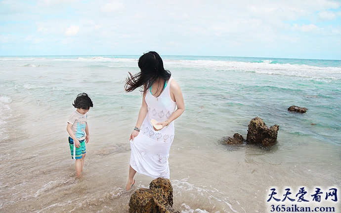 世界透明度最高的海是哪个？