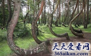 盘点十大人迹罕至的美景有哪些？如梦如幻让人沉醉期间不能自拔