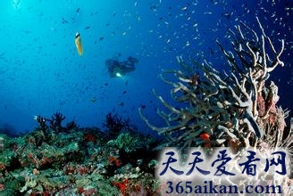 盘点全球十大潜水盛胜有哪些？全球十大潜水胜地美图欣赏