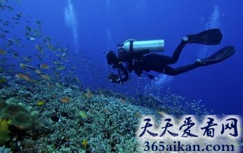 盘点全球十大潜水盛胜有哪些？全球十大潜水胜地美图欣赏