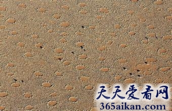 探索非洲沙漠精灵怪圈之谜