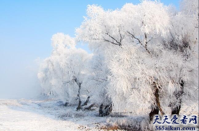 极致的美！中国四大自然奇观介绍
