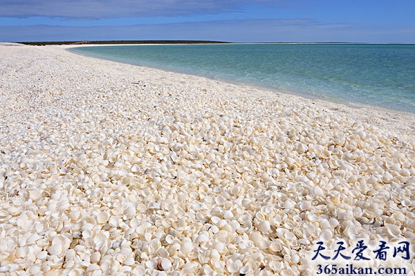 盘点世界上各种奇特海滩有哪些？世界上各种奇特海滩美图赏析