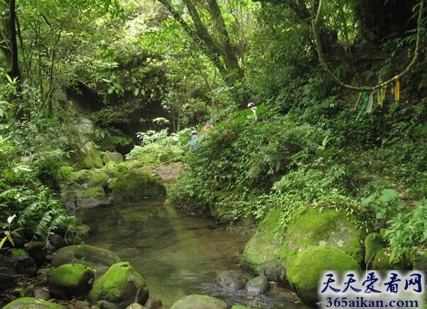 中国年降水量最多的地区——火烧寮