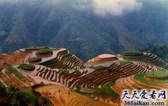 丘陵1.jpg