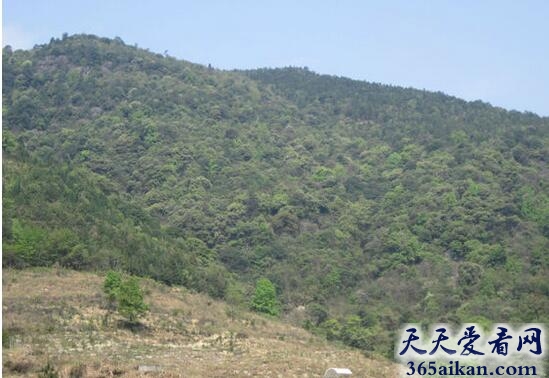 你知道几个？中国主要的三大丘陵介绍