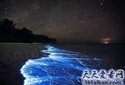 盘点全球赏月最好的十大沙滩是哪些？十五的月亮十六的园，嫦娥仙子忍不住下凡来