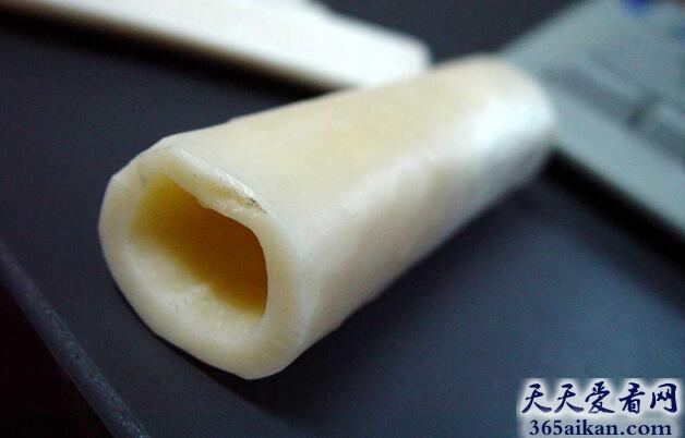 盘点全球最具恐怖气息的十大骨骼建筑有哪些？全球最具恐怖气息的十大骨骼建筑图片赏析