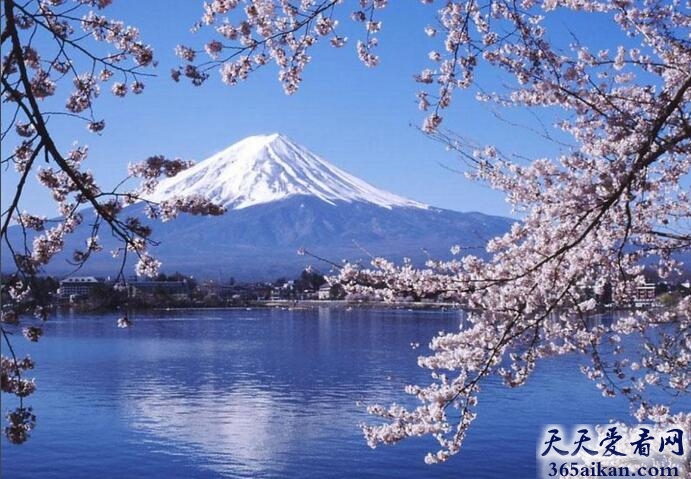 日本最大的岛屿：本州岛