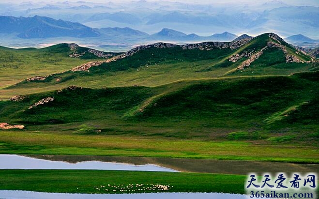 巴音布鲁克1.jpg