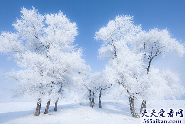 美丽的大自然！中国四大自然奇观