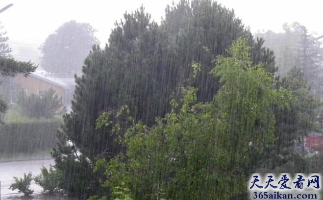 自然之最！世界“雨极”：乞拉朋齐