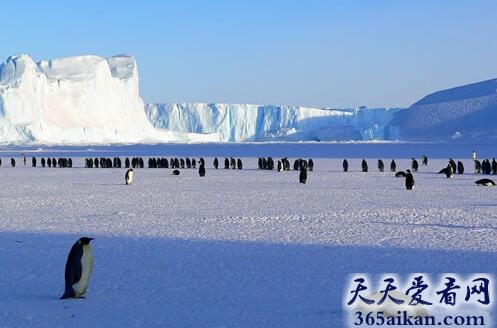 全球十大最寒冷的地方，最低温度达华氏零下128.6度！