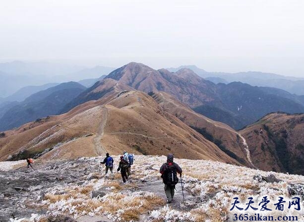 中国赣南第一高峰：齐云山