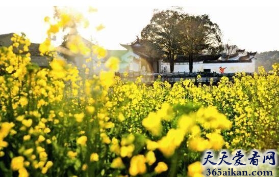 中国极边第一城：腾冲.jpg