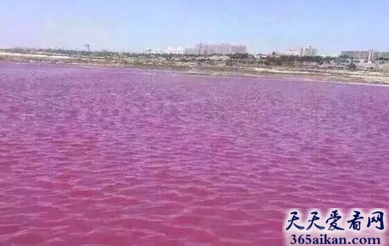 探索中国最独特的湖水，神秘莫测的四川“血色湖水”