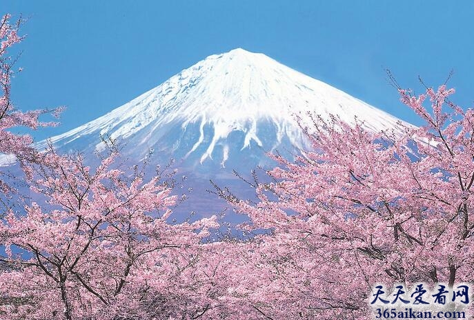 富士山.jpg