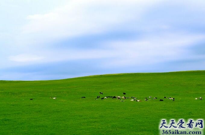 中国草原.jpg