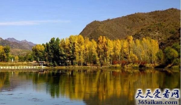 探索繁华都市下的原始森林——喇叭沟门原始森林