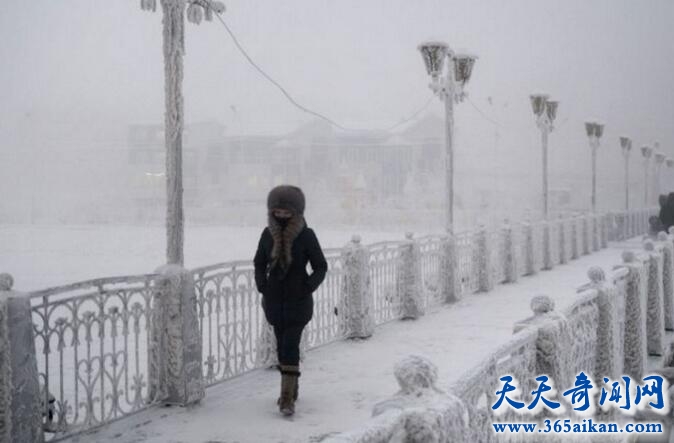 世界上最冷的村落，零下70°的奥伊米亚康村！