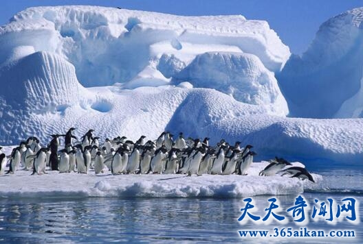 南极洲4.jpg