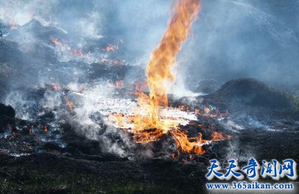世界十大罕见奇观曝光，空中降鱼太惊人！