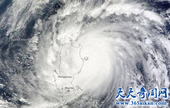 台风维拉.jpg